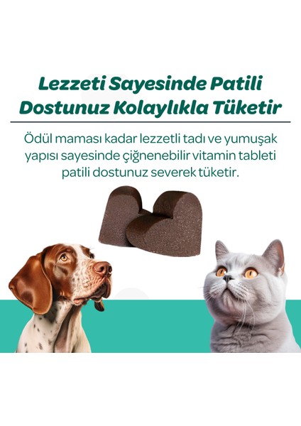 Vet's Plus Dental Çiğnenebilir Tablet 60'lı (Kedi ve Köpekler için Diş Bakımı)