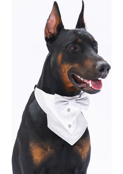 Gri Smokin Kedi Köpek Fuları Pet Bandanası