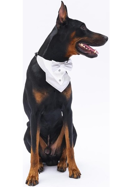 Gri Smokin Kedi Köpek Fuları Pet Bandanası fiyatları