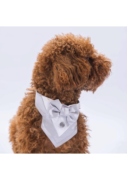 Gri Smokin Kedi Köpek Fuları Pet Bandanası fırsatları