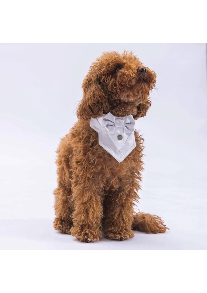 Gri Smokin Kedi Köpek Fuları Pet Bandanası indirimleri