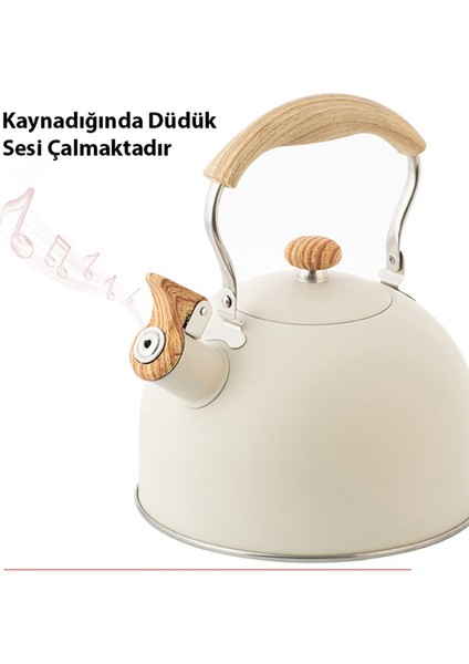 Tekno Trust Paslanmaz Çelik Ezere 2.5l Paslanmaz Çelik Premium Ahşap Saplı Düdüklü Çaydanlık 2 - 3 L