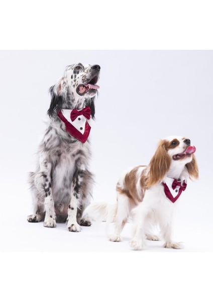 Bordo Smokin Kedi Köpek Fuları Pet Bandanası