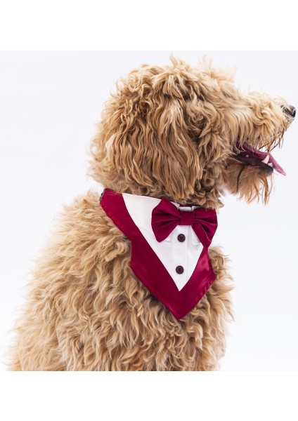 Bordo Smokin Kedi Köpek Fuları Pet Bandanası fırsatları
