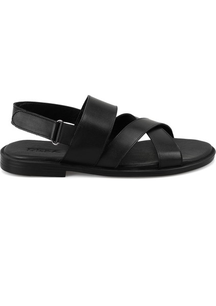 Tiger Siyah Erkek Deri Sandalet fiyatları