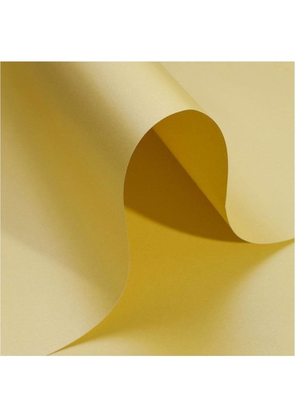 5 Adet Sedef Inci Fon Kartonu 50*70 cm 160 Gr.