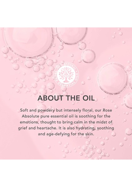 Rose Absolute - Gül Uçucu Yağı