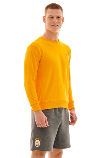 Galatasaray Erkek Basic Sweatshirt E221234 modelleri