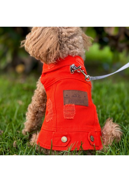 Yeni - Orange Renk Kot Köpek Yeleği - Küçük Irklar Için Şık ve Rahat Yelek (0-15KG)