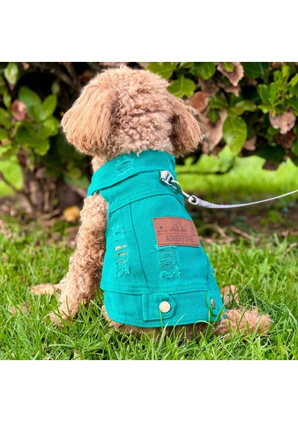 Yeni - Çam Yeşili Renk Kot Köpek Yeleği - Küçük Irklar Için Şık ve Rahat Yelek (0-15KG)