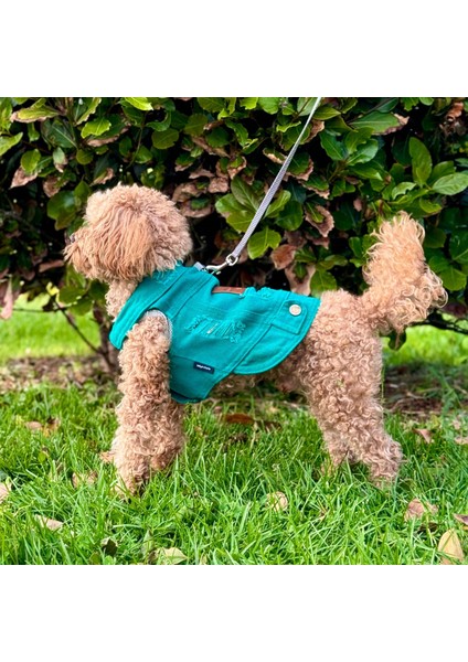 Yeni - Çam Yeşili Renk Kot Köpek Yeleği - Küçük Irklar Için Şık ve Rahat Yelek (0-15KG)