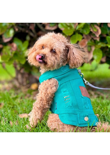 Yeni - Çam Yeşili Renk Kot Köpek Yeleği - Küçük Irklar Için Şık ve Rahat Yelek (0-15KG)