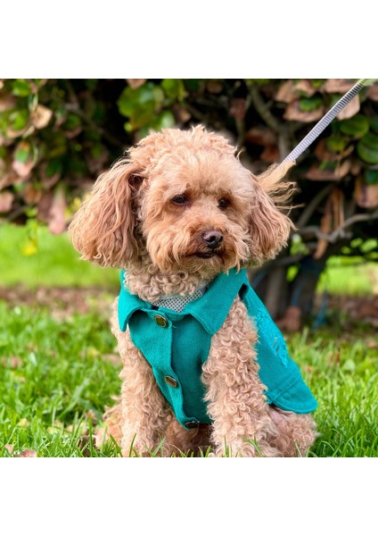 Yeni - Çam Yeşili Renk Kot Köpek Yeleği - Küçük Irklar Için Şık ve Rahat Yelek (0-15KG)