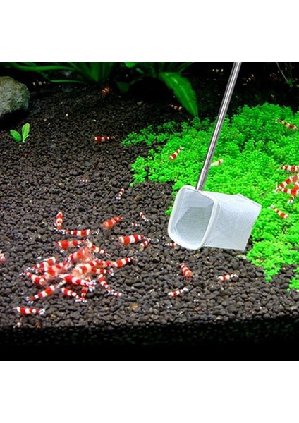 Rastgele Renk Stili Kare Şekli Geri Çekilebilir 3D Akvaryum Balık Tankı Net Paslanmaz Çelik Çubuk Balık Tutma Yuvarlak Kare Cep Karides Balık Ağları cm (Yurt Dışından) indirimleri