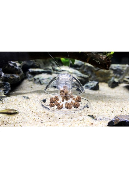 8cm Tarzı Akvaryum Aksesuarları Plastik Salyangoz Tuzak Catcher Sülük Planaria Haşere Yakalama Kutusu Akvaryum Ortamı Temiz Balık Tankı Temizleme Aracı (Yurt Dışından) fiyatları