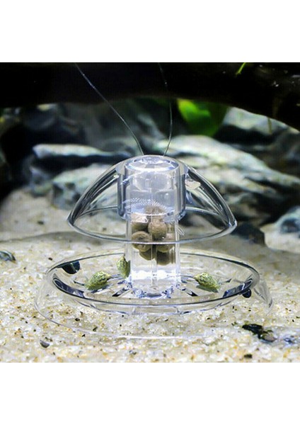 1 Adet Tarzı 6cm Akvaryum Aksesuarları Akvaryum Bitki Salyangoz Tuzak Catcher Plastik Planaria Haşere Yakalama Kutusu Akvaryum Balık Tankı Aksesuarları (Yurt Dışından) indirimleri