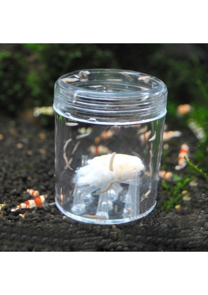 B Tarzı Akvaryum Solucan Tuzağı Balık Tankı Haşere Yakalama Tuzağı Cam Temizle Sülük Catcher Planarian Flatworm Akvaryum Su Temizleyici (Yurt Dışından) fiyatları