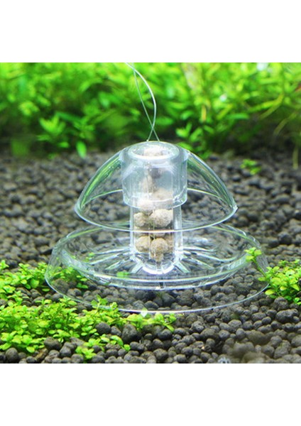 Gümüş Tarzı Beyaz Temizle Salyangoz Tuzağı Yakalayıcı Bitkiler Planarian Haşere Plastik Yakalama Aracı Bitki Tank Kutusu Akvaryum Ortamı Temiz (Yem Yok) (Yurt Dışından) modelleri