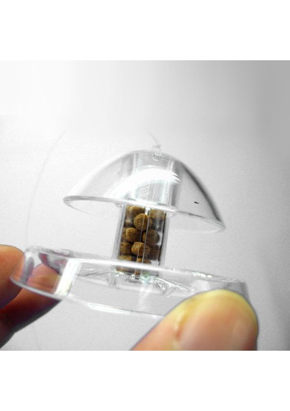 Gümüş Tarzı Beyaz Temizle Salyangoz Tuzağı Yakalayıcı Bitkiler Planarian Haşere Plastik Yakalama Aracı Bitki Tank Kutusu Akvaryum Ortamı Temiz (Yem Yok) (Yurt Dışından) indirimleri