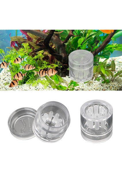 Şeffaf Haşere Yakalama 8 Delik Planaria Salyangoz Tuzağı Akvaryum Balıkları Bitki Tankı Akvaryum Temizleme Araçları (Yurt Dışından)