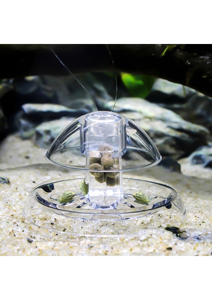 Şeffaf Stil 8cm Şeffaf Akvaryum Balıkları Tankı Plastik Temizle Salyangoz Tuzağı Balık Tankı Sülük Vivaryum Planarian Haşere Yakalama Akvaryum Temizleyici Aracı (Yurt Dışından) indirimleri