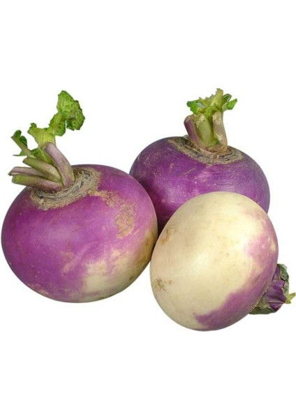 Yerli Şalgam Turp Tohumu 100 Adet