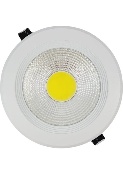 30 Watt LED Spot Trafolu Beyaz Kasa Gün Işıgı (Ydo-F8)