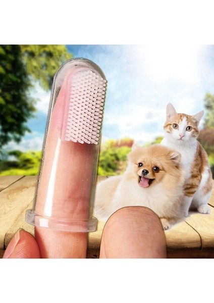 Tineke Kedi ve Köpek Için Parmak Diş Fırçası