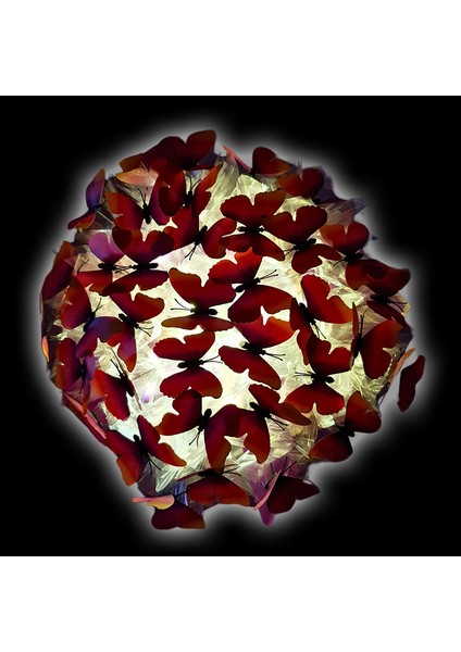 LED Işıklı Kelebek Buketi - 45CM x 30CM modelleri
