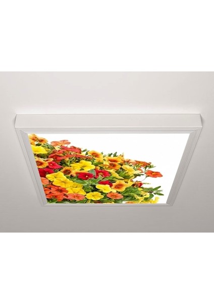 60X60 LED Panel Aydınlatma Armatür Avize Sıva Üstü Desenli Tekli 46510646SU