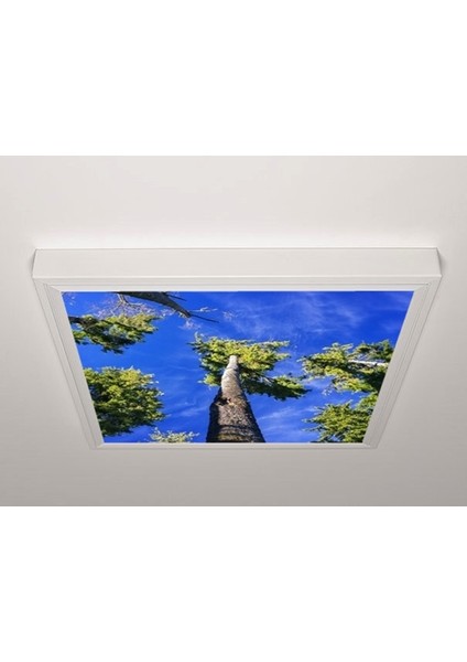60X60 LED Panel Aydınlatma Armatür Avize Sıva Üstü Desenli Tekli 46510536SU