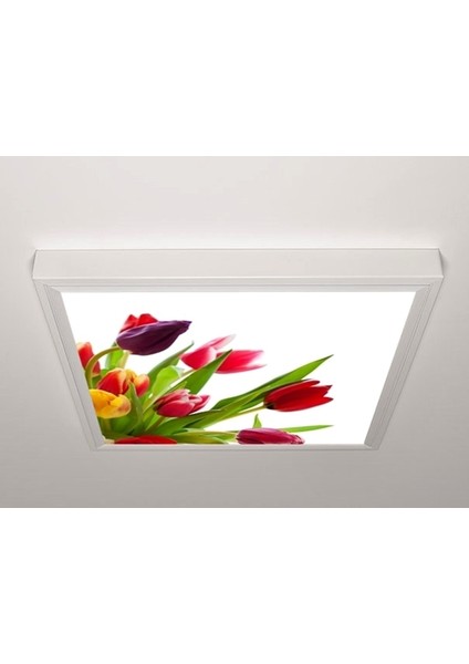 60X60 LED Panel Aydınlatma Armatür Avize Sıva Üstü Desenli Tekli 46510645SU