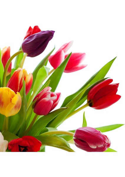 60X60 LED Panel Aydınlatma Armatür Avize Sıva Üstü Desenli Tekli 46510645SU modelleri