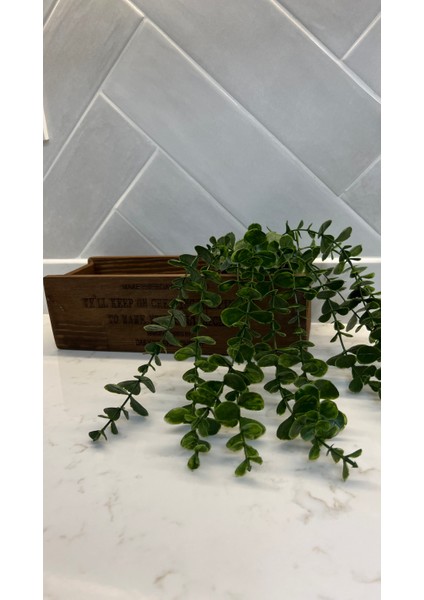 Ahşap Mutfak Düzenleyici, Ahşap Dekorasyon Kutu/yapay Okaliptüs Çiçek fiyatları