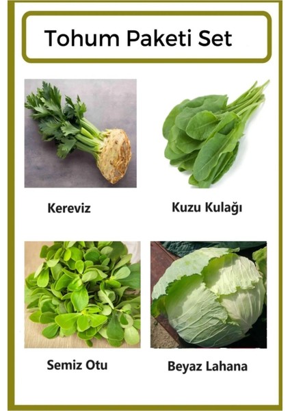 Yerli Kereviz- Kuzu Kulağı- Semiz Otu- Beyaz Lahana Tohumu 1000 Adet