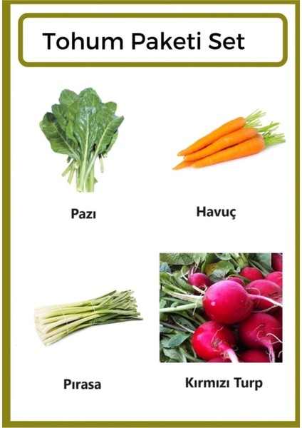 Yerli Pazı-Havuç-Pırasa-Kırmızı Turp Tohumu 500 Adet