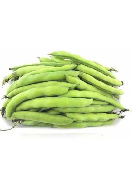 Yerli Bakla Tohumu 100 gr