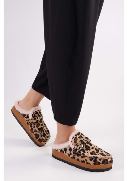 Kadın Softie Leopar Süet Içi Tüylü Düz Terlik