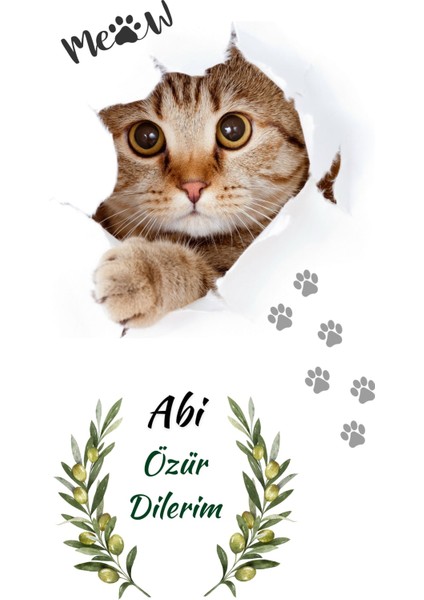 Abiye Özür Dilerim , Özür Dilerim Abi, Gönül Alma modelleri