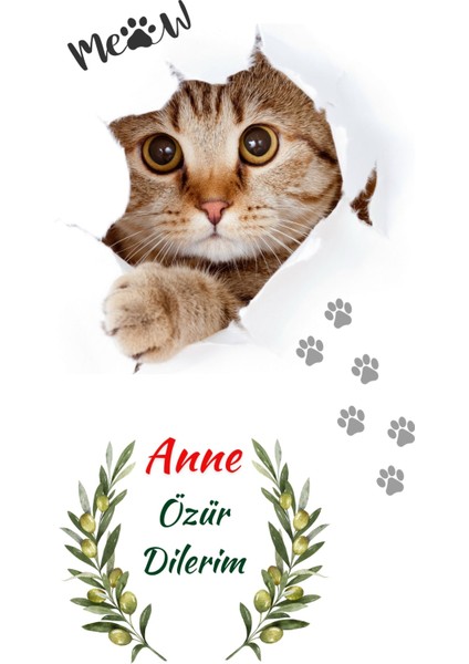 Özür Dilerim Anne , Gönül Alma , Beni Affet fırsatları