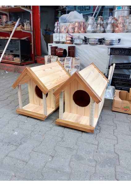 Kedi Yuvası