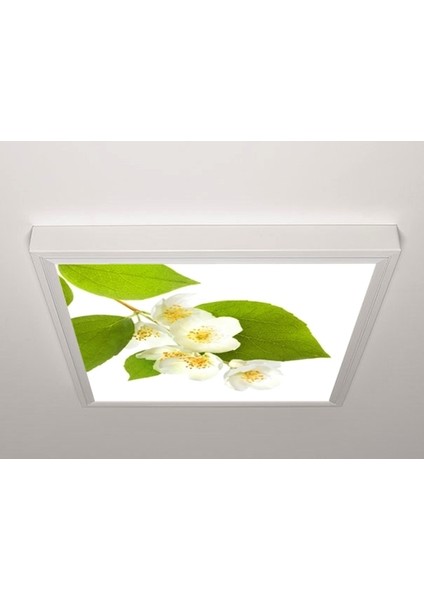 60X60 LED Panel Aydınlatma Armatür Avize Sıva Üstü Desenli Tekli 46510523SU