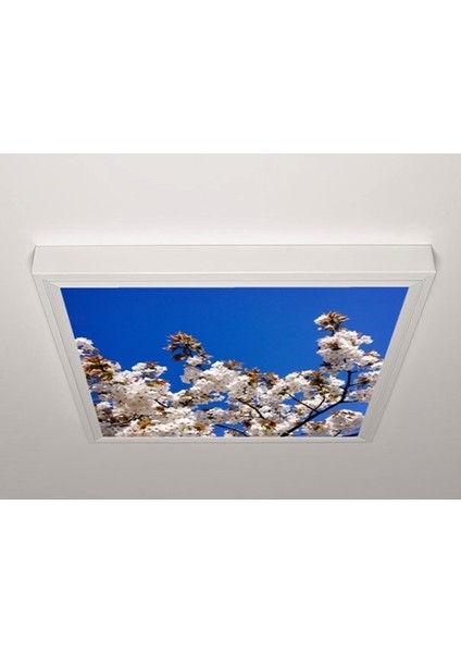 60X60 LED Panel Aydınlatma Armatür Avize Sıva Üstü Desenli Tekli 46510206SU