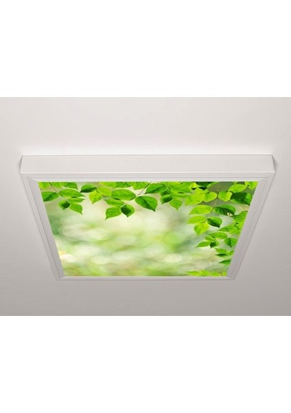 60X60 LED Panel Aydınlatma Armatür Avize Sıva Üstü Desenli Tekli 46510403SU