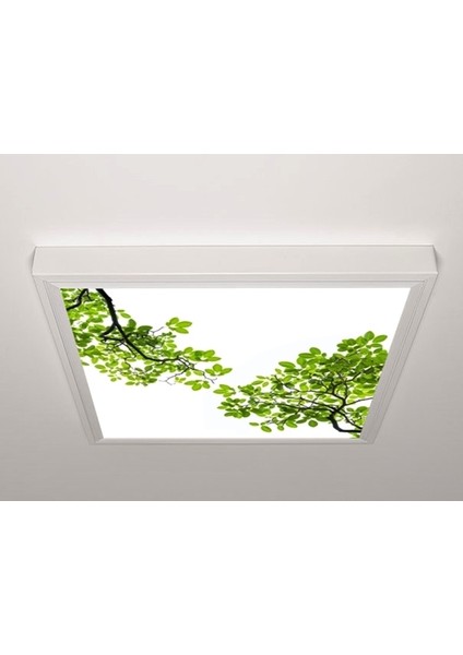 60X60 LED Panel Aydınlatma Armatür Avize Sıva Üstü Desenli Tekli 46510525SU