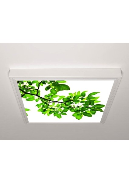 60X60 LED Panel Aydınlatma Armatür Avize Sıva Üstü Desenli Tekli 46510498SU