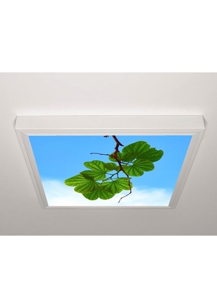 60X60 LED Panel Aydınlatma Armatür Avize Sıva Üstü Desenli Tekli 46510402SU