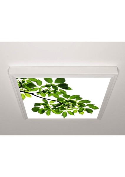 60X60 LED Panel Aydınlatma Armatür Avize Sıva Üstü Desenli Tekli 46510400SU