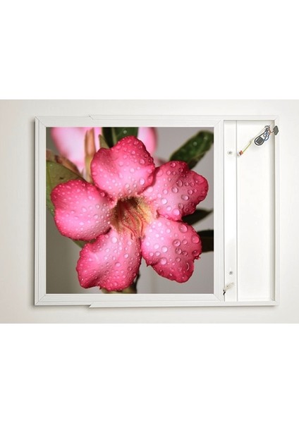 60X60 LED Panel Aydınlatma Armatür Avize Sıva Üstü Desenli Tekli 46510595SU