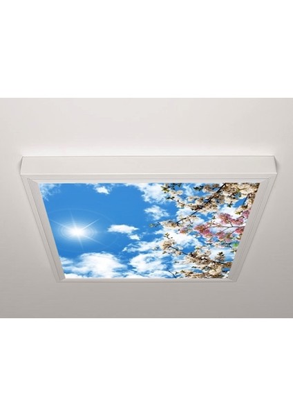 60X60 LED Panel Aydınlatma Armatür Avize Sıva Üstü Desenli Tekli 46510454SU